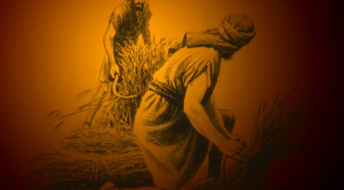 IT: Vrijheid als dekmantel