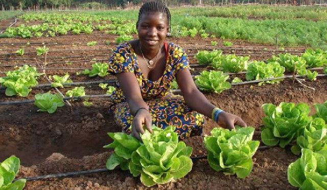 CvI – Israël, een positieve kracht ten goede